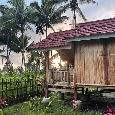 Syaqila Homestay Lombok Tetebatu Dış mekan fotoğraf