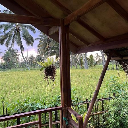 Syaqila Homestay Lombok Tetebatu Dış mekan fotoğraf