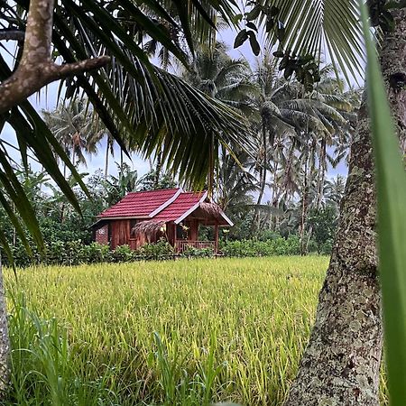 Syaqila Homestay Lombok Tetebatu Dış mekan fotoğraf