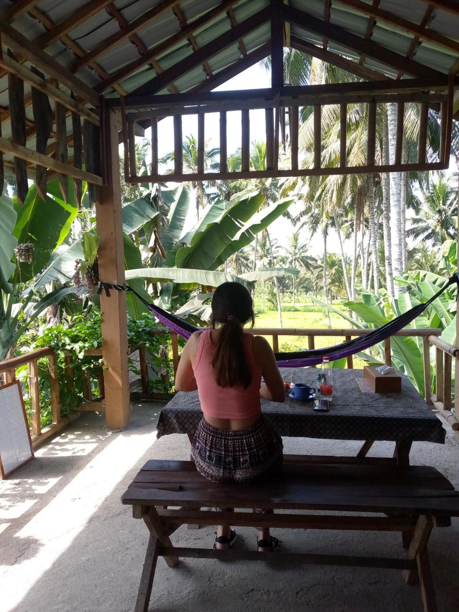 Syaqila Homestay Lombok Tetebatu Dış mekan fotoğraf