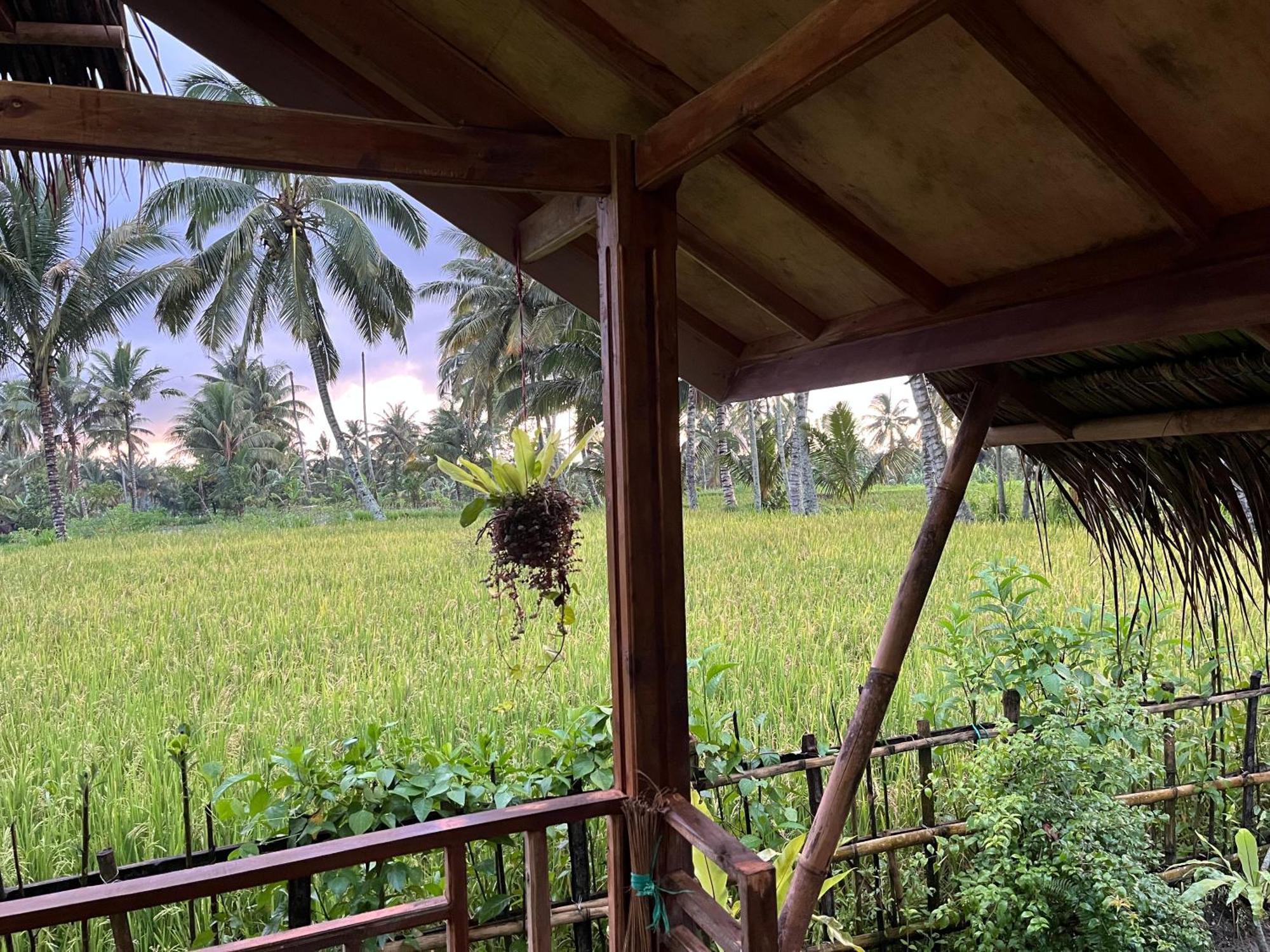 Syaqila Homestay Lombok Tetebatu Dış mekan fotoğraf
