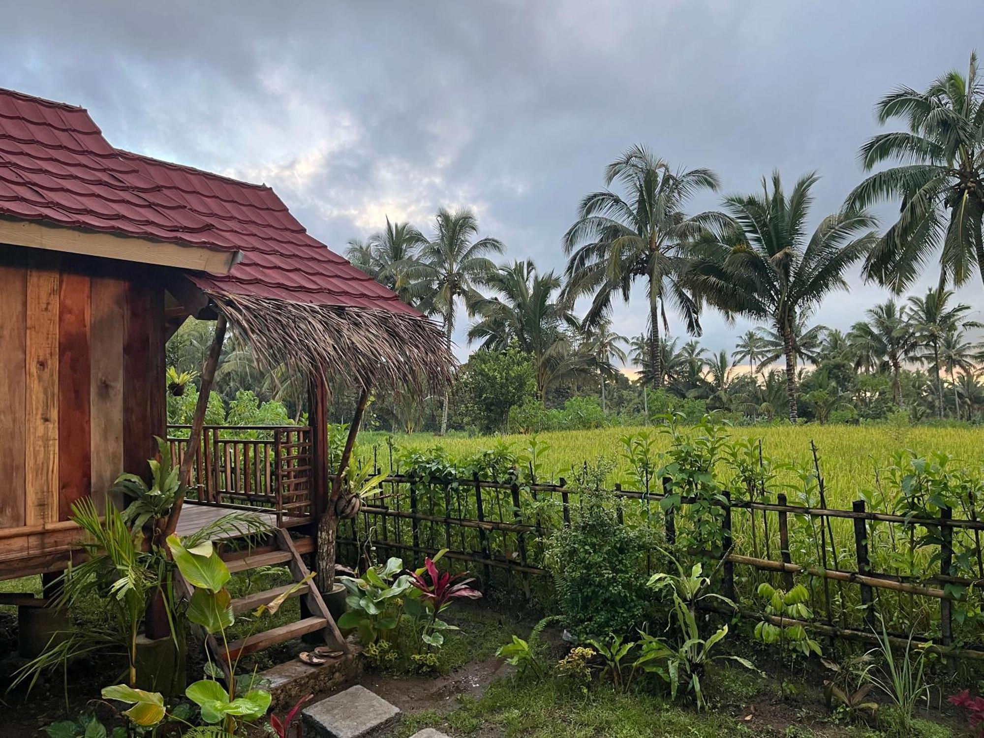 Syaqila Homestay Lombok Tetebatu Dış mekan fotoğraf