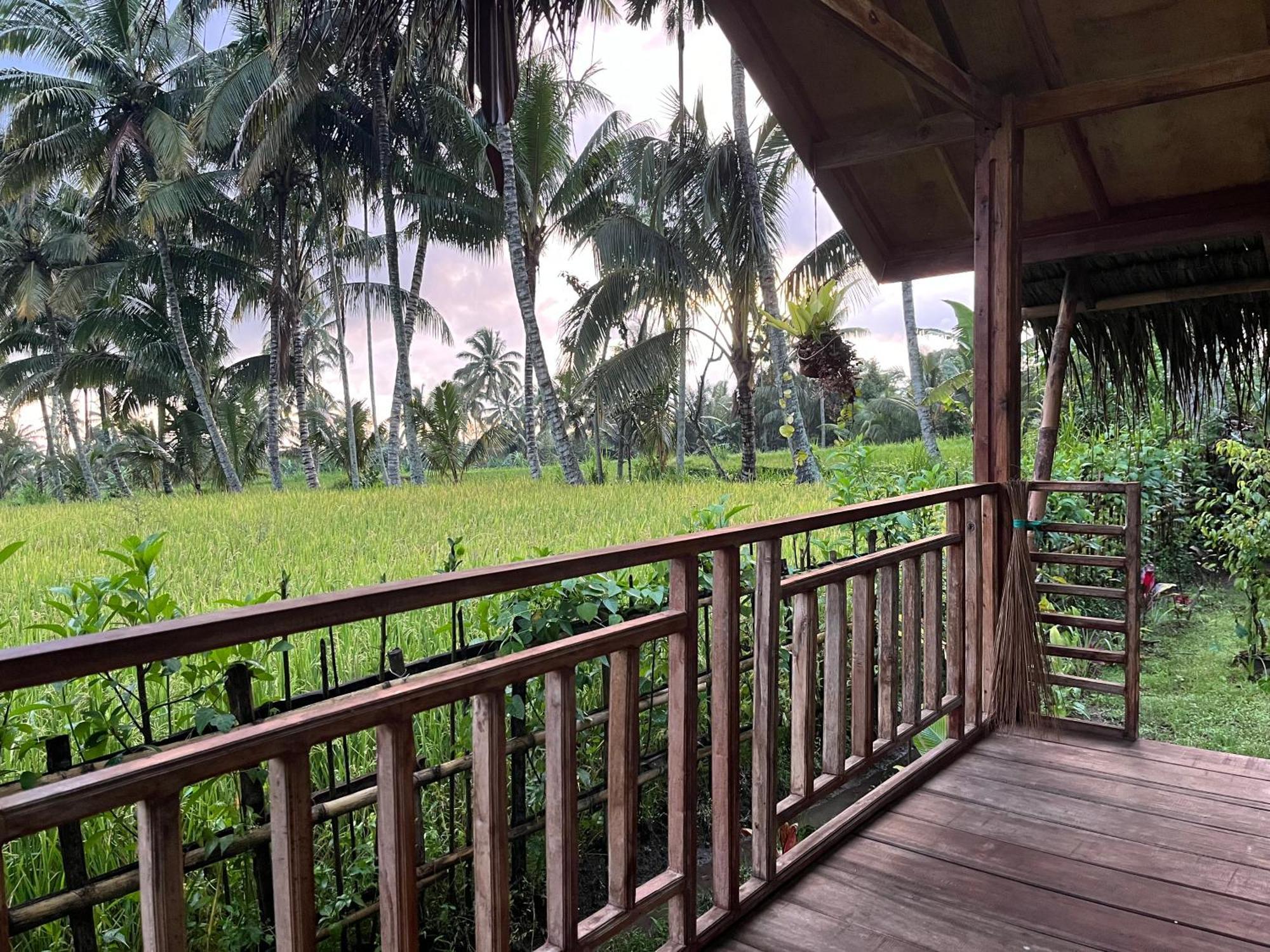 Syaqila Homestay Lombok Tetebatu Dış mekan fotoğraf